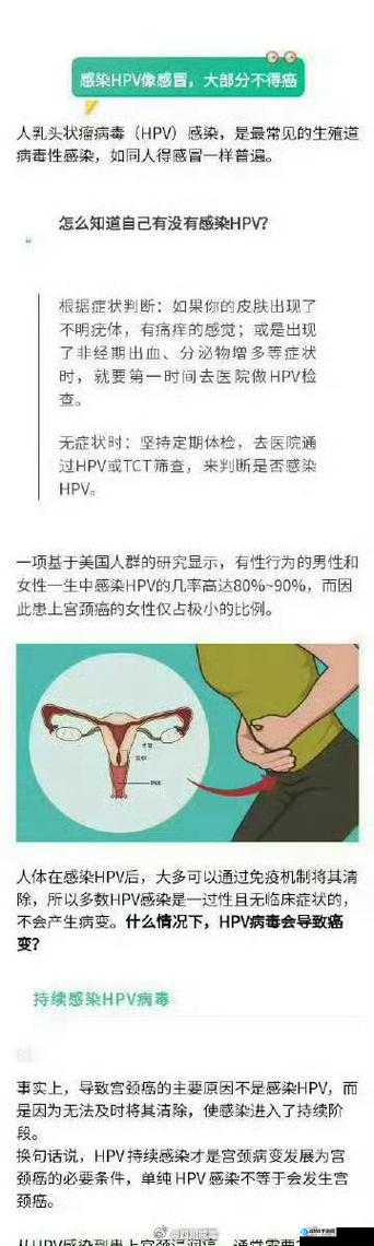 HPV 感染与性接触关系解析：性接触是关键因素