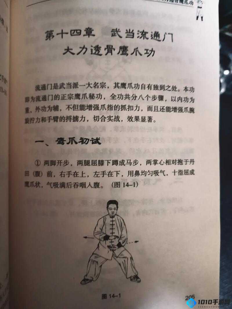 探索下一江湖，揭秘内功功法奥秘