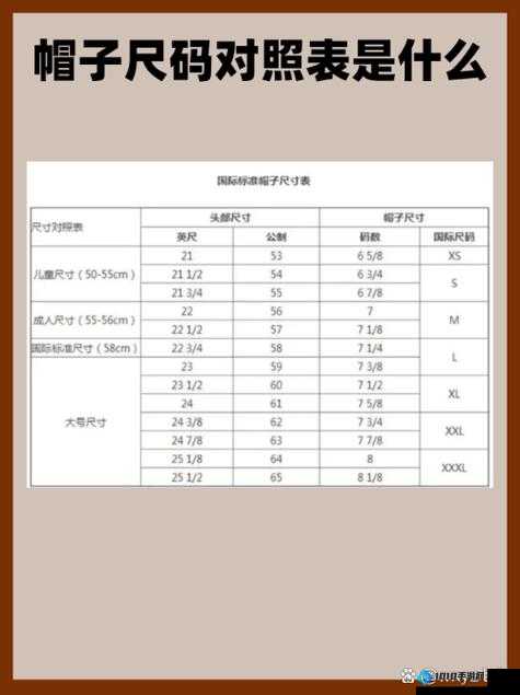 国产尺码和欧洲尺码表对照表对比：直观呈现差异