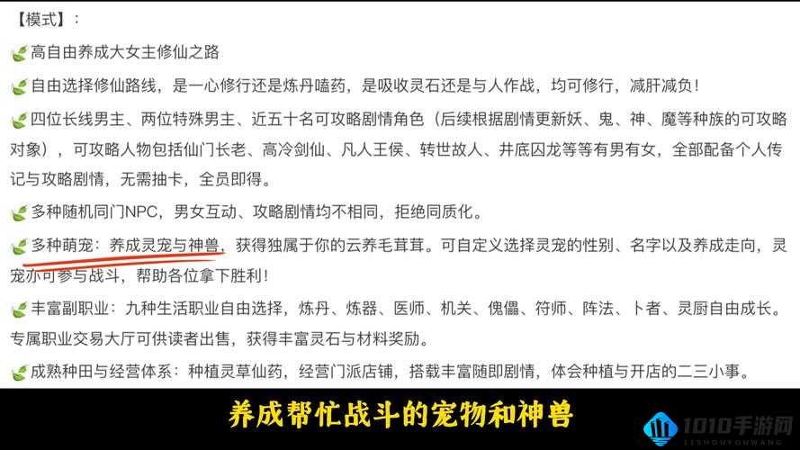 探寻问仙传奇中究竟何种职业能引领修仙之路走向巅峰