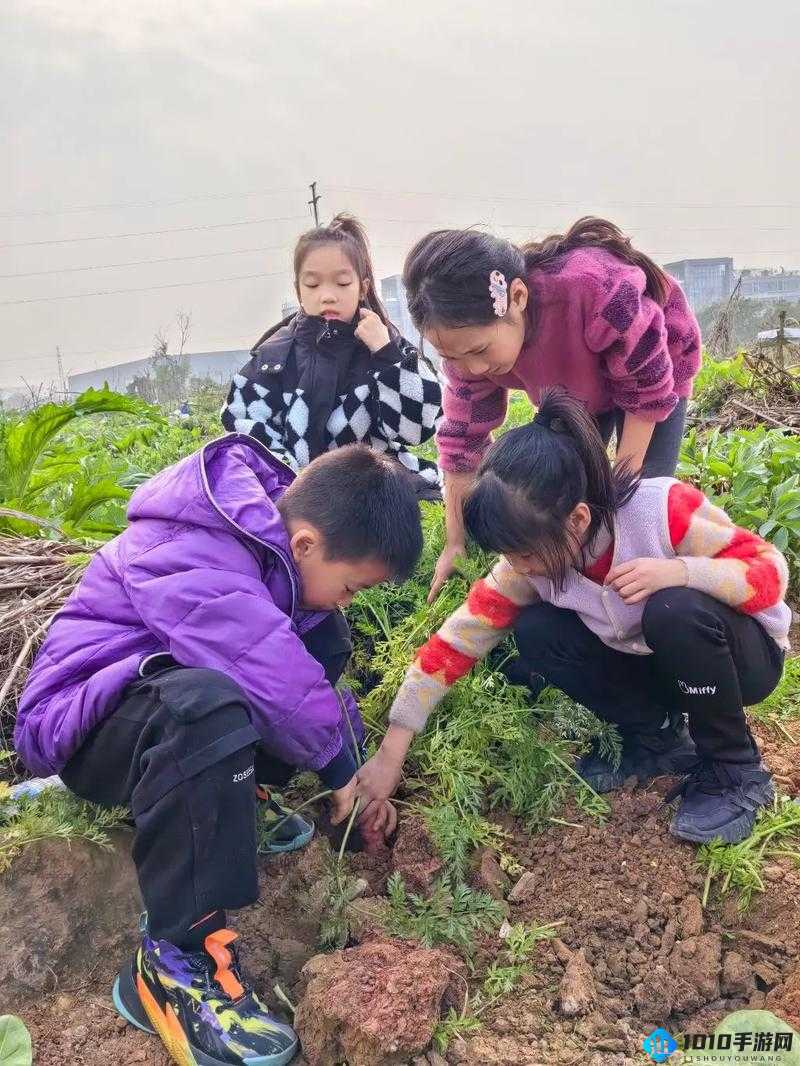 女孩子怎么体验拔萝卜的感觉：方式探讨