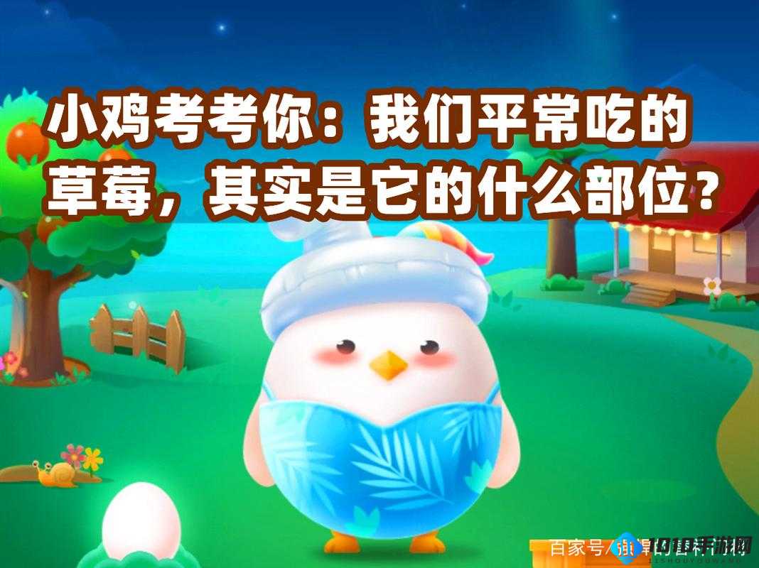 我们平常吃的草莓蚂蚁庄园：探寻美味的秘密