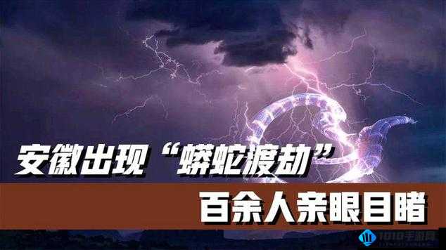 黑料.168SU：一个神秘的存在