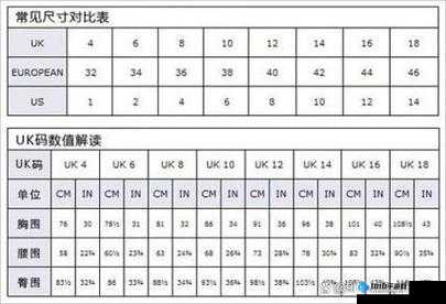 揭秘欧洲尺码日本尺码专线：差异与特点