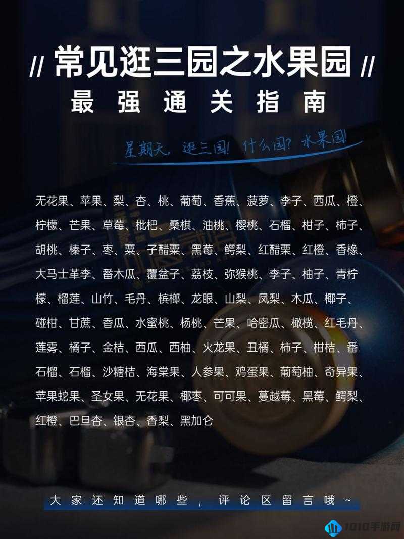 双生幻想东海明珠3-1关攻略：完美通关指南