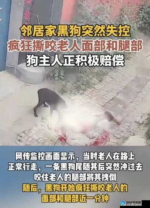 人 or 猪 or 狗已彻底下架：后续情况如何