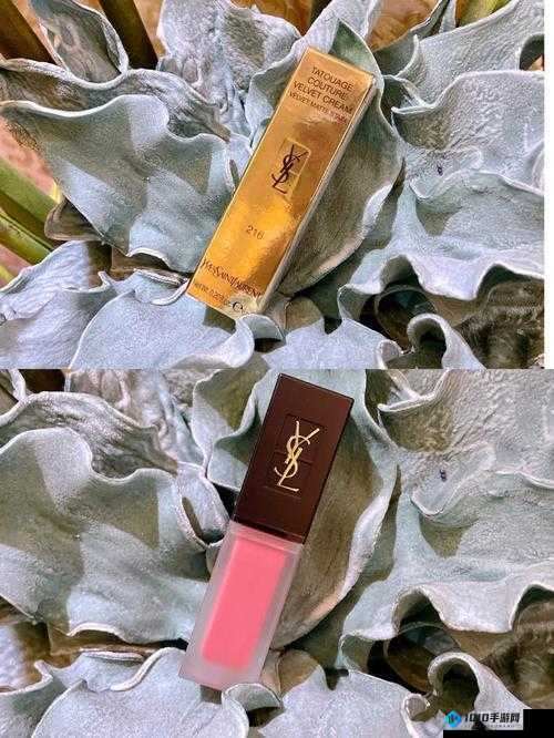 YSL 蜜桃色 WWW：斩男色的秘密武器