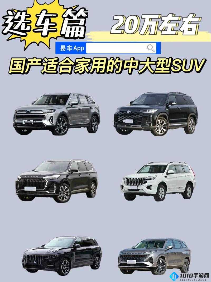 国产 SUV 精品一区二-国产 SUV 市场新宠