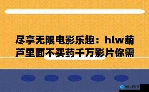 葫芦里面不卖药千片万片你需要：独特的表述