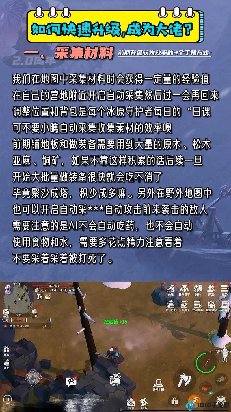 冰原守卫者：组队攻略与技巧指南