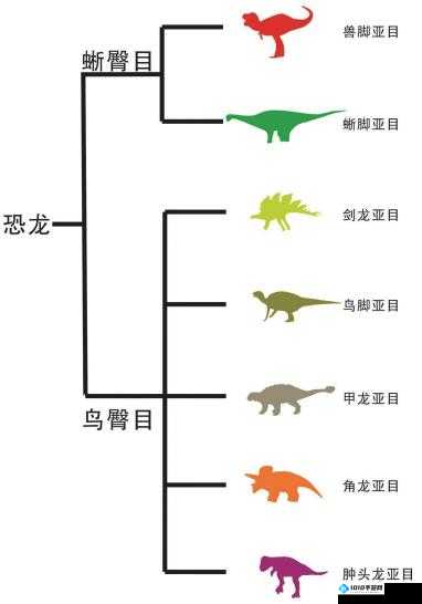 我的化石博物馆恐龙分类大全 详细解读各类型恐龙图鉴汇总攻略指南