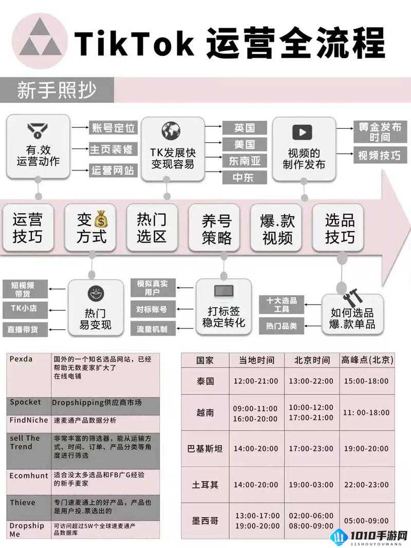 忍者学园新手攻略：选区与升级技巧全解析