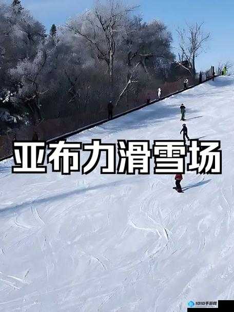 天谕手游滑雪高手速成：滑雪15秒极限挑战与滑雪意外成就全攻略分享