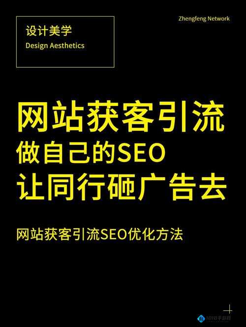 seo 短视频网页入口引流：提高网站流量的有效途径