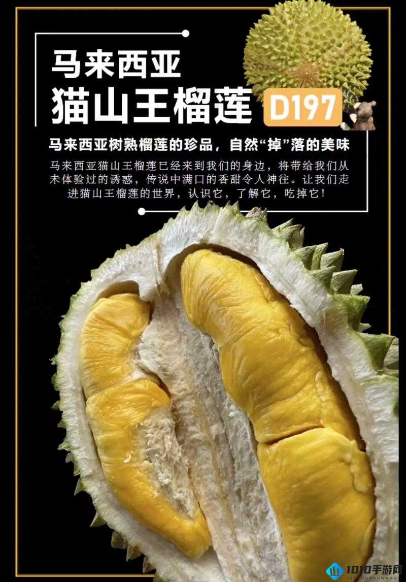 草莓丝瓜芭乐樱桃榴莲黄：美味水果大集合