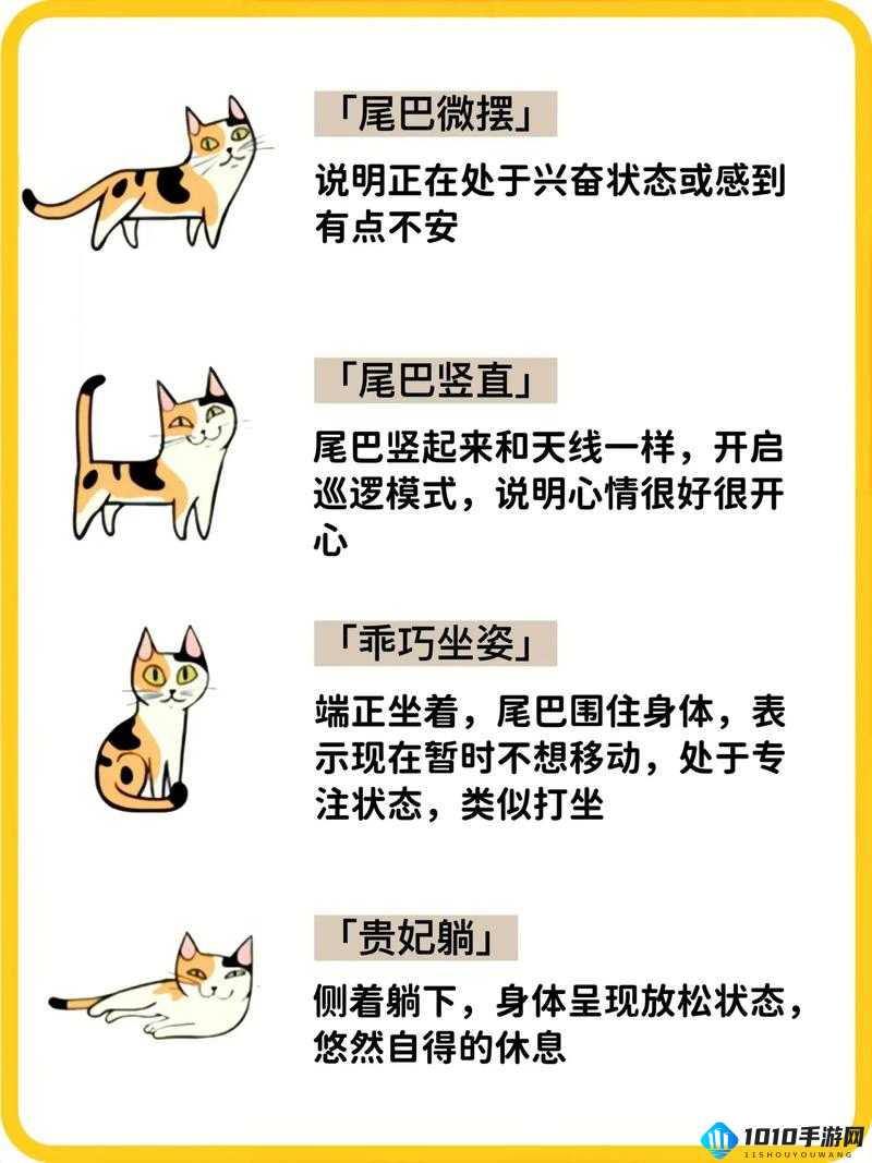 猫咪社交：萌宠之间的奇妙交流世界