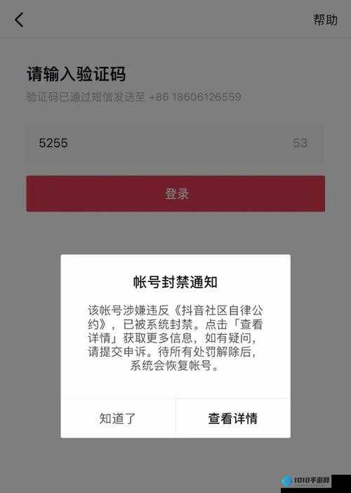 鱼丸游戏多开攻略：双开助手工具安装与操作教程