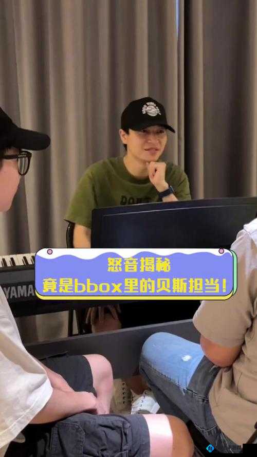 BBOX 糟蹋 BASS：到底是何意