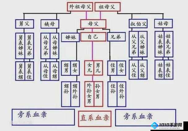 家族系统深度解析：探寻血缘脉络，揭示家族历史与传承的力量