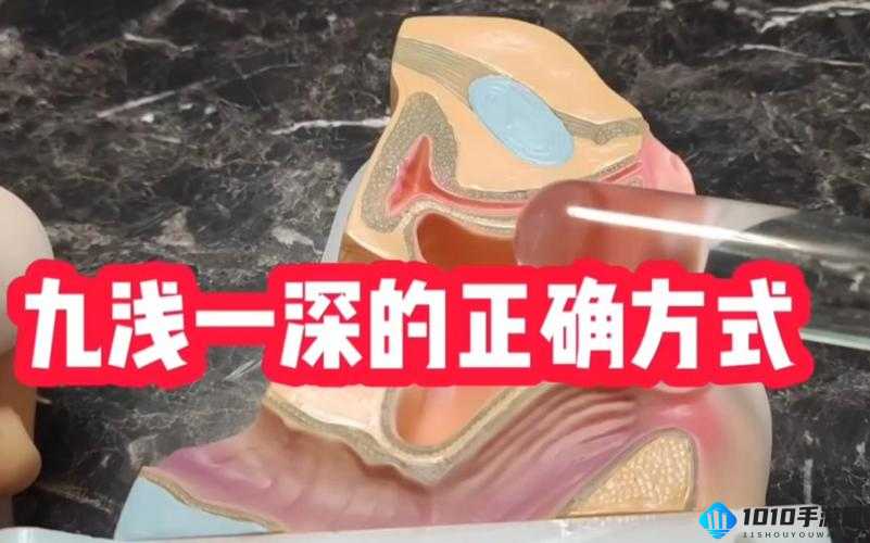 九浅一深还是九深一浅哪个更优探讨