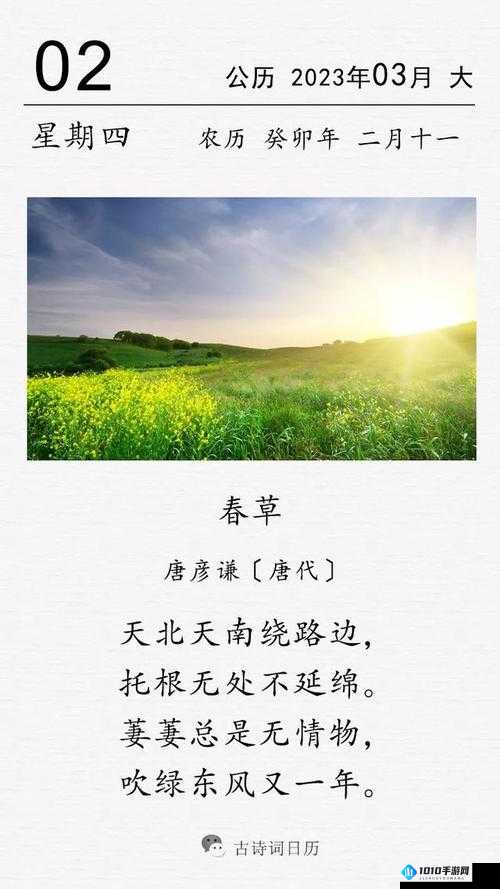 芳草有萋萋：春深绿意浓