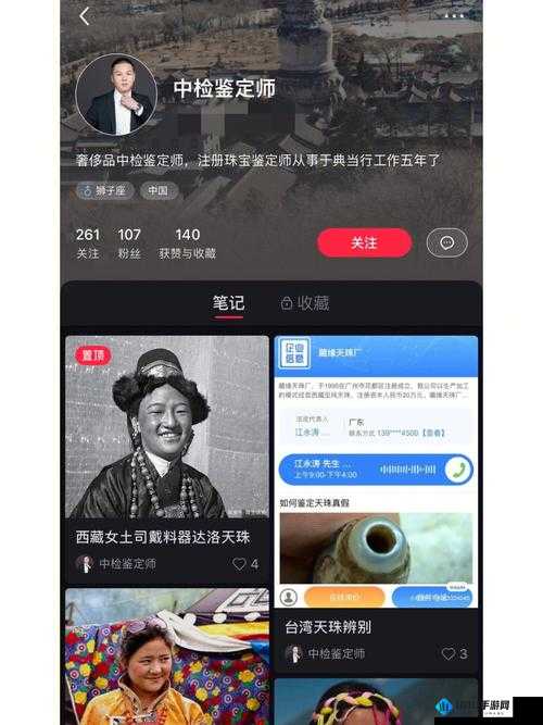 鉴定师 app 免费网站入口：畅享便捷鉴定服务